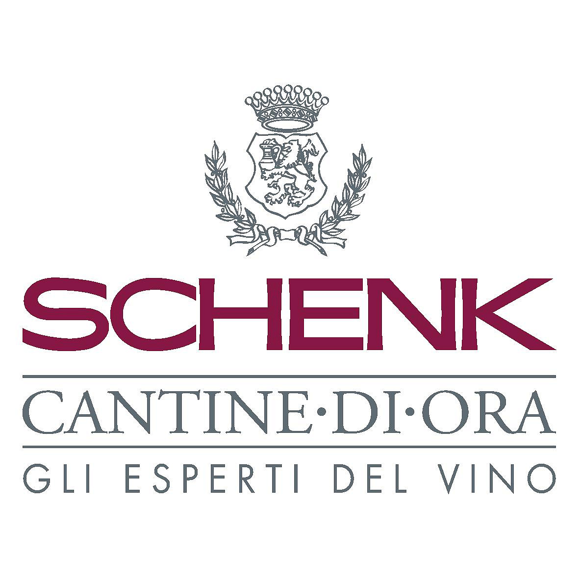 Schenk Italia Spa