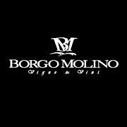 BORGO MOLINO Vigne & Vini